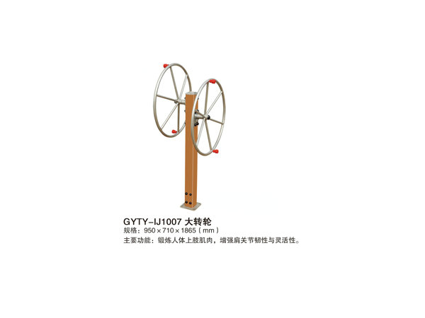 GYTY-IJ1007大轉輪